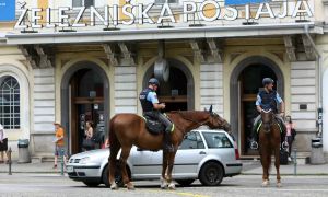 Med »aktivizmi«, ki jih želi Cigler Kralj odstraniti iz zakona, je tudi zavetišče za konje