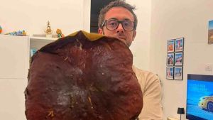 Trova fungo record di oltre 7 chili. L’emozione di Giacomo, appassionato ricercatore: per lui i boschi non hanno segreti