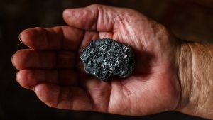 Can Coal-Reliant Australia And Turkey Deliver A Fossil-Free Future At COP31? – OpEd