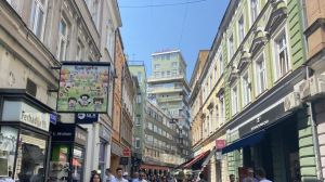 Konzul Vujić rekao koliko je birača prijavljeno u BiH za glasanje na izborima u Srbiji