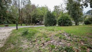 Degrado al Parco Basaglia di Gorizia: «La cura del verde va data in gestione»