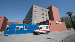 «Prof aggredita in classe», ma è una notizia fake sui social: era la crisi di un ragazzo disabile