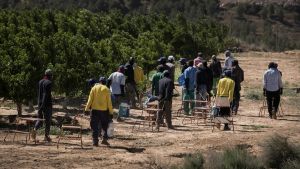 La evidencia sobre inmigración desmonta ideas falsas