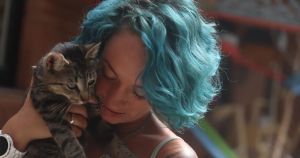Tierheim Drakenburg am Limit: Ohne Kastrationspflicht wird das Katzenelend nie enden