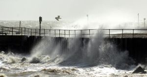 Weather warning issued for Norfolk as Storm Austen brings 70mph winds to UK