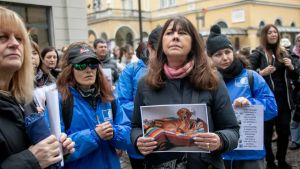Caso della cagnolina Nina, processo da gennaio sui maltrattamenti: due le persone imputate