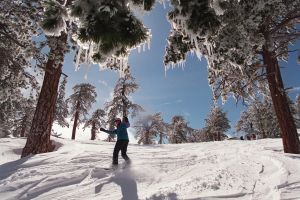 Historic Calif. ski area for sale after private club plan falls apart