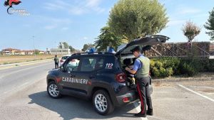 Casalmaggiore, fugge all'alt dei carabinieri e poi si schianta: arrestato un 36enne con la patente sospesa