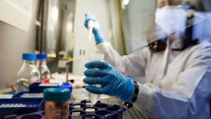 Virus Shamonda, primo contagio umano al mondo in Francia. Cos’è, come si trasmette e quali sono i rischi