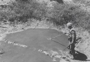 From the archive: Canada and Vietnam