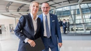 Warum es legitim ist, die Inhalte des AfD-Leaks auszuwerten