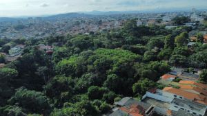 Prefeito, pague a desapropriação da Mata do Planalto