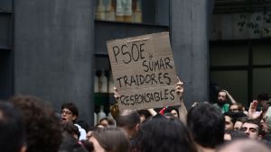 Para un desagravio de los buitres