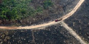 From the US to Brazil, Earth's Future Is on the Ballot