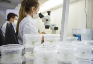 Da descoberta científica ao impacto na sociedade: como a inovação transforma o futuro da saúde