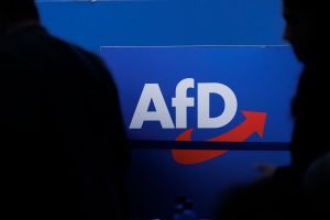AfD-Hack: Ein Datenschatz und große Verantwortung