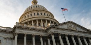 US midterms: what a new Congress could – and could not – change for Europe
