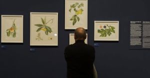 A rainy Istanbul’s guide to art beyond the city