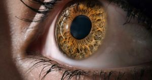 Havana Syndrome: What the Eyes Can Reveal