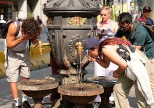 El calor es más letal en las ciudades