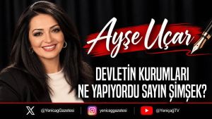 Devletin kurumları ne yapıyordu Sayın Şimşek