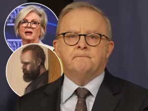 Albanese’s plea to ‘turn down the heat’ reeks of a cynical ploy