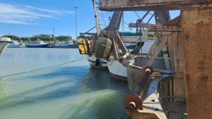 Pesca in crisi, dal Veneto 10 milioni: la prima tranche entro dicembre
