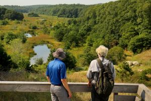 Safeguard our natural places with a yes vote on ballot Question 6