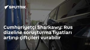 Cumhuriyetçi Sharkawy: Rus dizeline soruşturma fiyatları artırıp çiftçileri vurabilir