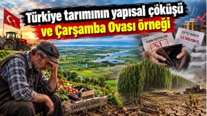 Türkiye tarımının yapısal çöküşü ve Çarşamba Ovası örneği