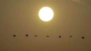 El Sol sale por el este
