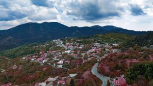 Το πέτρινο χωριό της Αρκαδίας στα 1.130 μέτρα που μαγεύει κάθε επισκέπτη και βρίσκεται στην καρδιά του Πάρνωνα