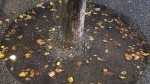 Der Regen ist zurück – reicht das schon?