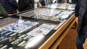 A Gorizia il Museo di scienze della Madonnina diventerà comunale