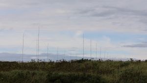The Pentagon May Have Made a Radar Breakthrough in Alaska