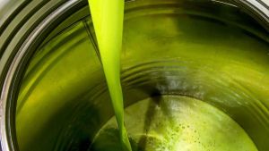 Olivino 2026, Cavriglia premia le eccellenze dell’olio e del vino