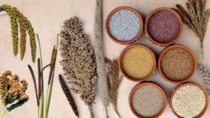 India’s Biofortified fix Offer a Solution to Hidden Hunger
