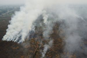 Cloudseeding gegen Waldbrände: Eine technische Verzweiflungstat