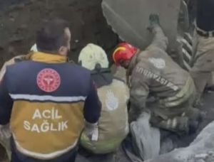 Ali Demirci bir istatistik değil!
