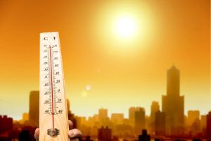Climate Change: Scientific Evidence and Projected Warming