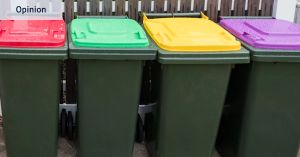 I suspect a neighbour of befouling my recycling bin. The only option is to get petty