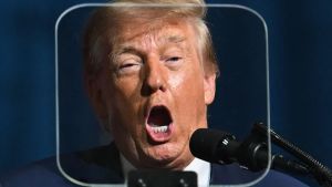 Es geht bei den Midterms nur um Trump, worum auch sonst