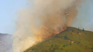 Quemas controladas en los Picos, formación a vecinos y reducción de vegetación: el plan contra los incendios en Asturias para 2027