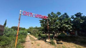Orti urbani a Livorno: niente rinvio, c’è lo sgombero - Respinta la richiesta della prefettura