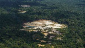 Beim Schutz des Amazonas-Gebiets haben auch wir die Wahl