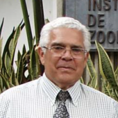 Antonio Machado Allison