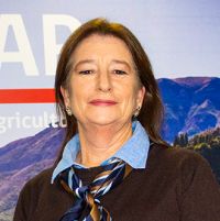 Antonella Pecchenino