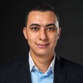 Mohamed Ibrahim Hafez