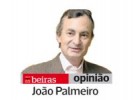 João Palmeiro