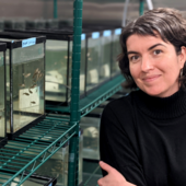 Valérie S. Langlois